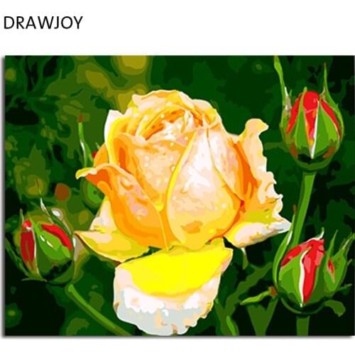 DRAWJOY Framed Flower DIY Painting By Numbers Wall Art DIY Canvas Oil Painting Home Decor For Living Room Wall Art