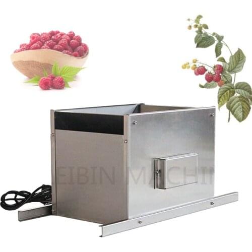 Electric Grape Crusher Wine Brewing Equipment Manual Grape Crushing Machine 2 Rollers Stainless Steel Double Grinding wheel