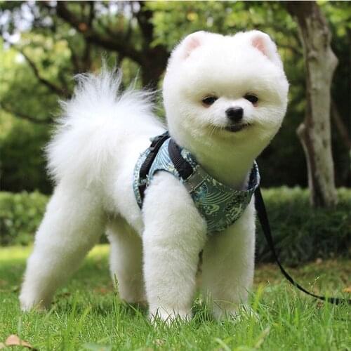 Pets Dog Harness No Pull Vest With Dog Collar Nylon Net Refective Dog Breast-Band Safety Harness For Dogs Collars And Harnesses