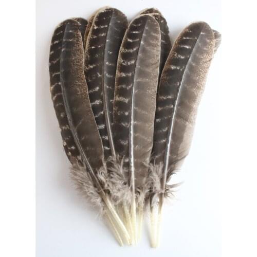 100pcs Scare Real Natural Eagle Feathers 8-12 Inch(20-35CM)Quality Eagle Bird Feather For Wedding Decoration Diy Jewelry Plumes