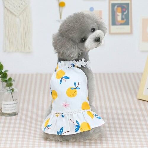 Summer Fashion Dog Dresses for Small Dogs Luxury Pet Cat Girl Dog Clothes Bayberry Skirt