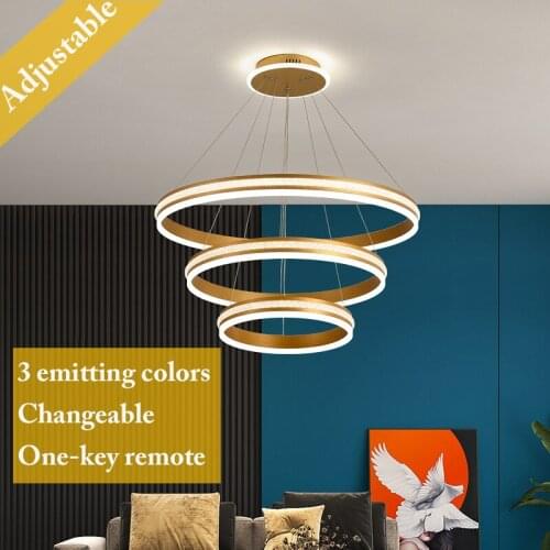 Postmodern Luxury Pendant Lights Nordic Style Chandelier 2021 New Creative Ring Art Hanging Lamp for Living Bedroom Dining Room