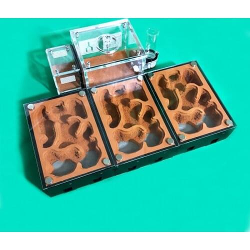 Unlimited Expansion Ant Farm with External Water Tower Yellow Soil Ant Nest Moisturizing Ant House Pet Anthill Workshop Castle
