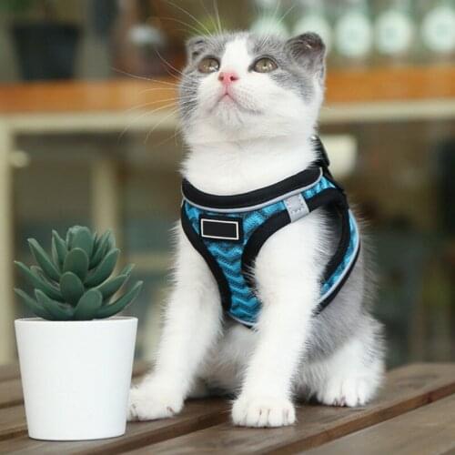 panDaDa Harnesses