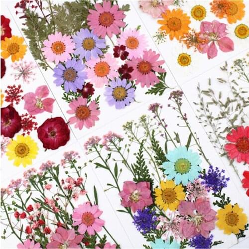 5 Pack Pressed Flower Material Pack Dry Flower Embossing Combination Pack Pressed Flower Leaf DIY Accessories