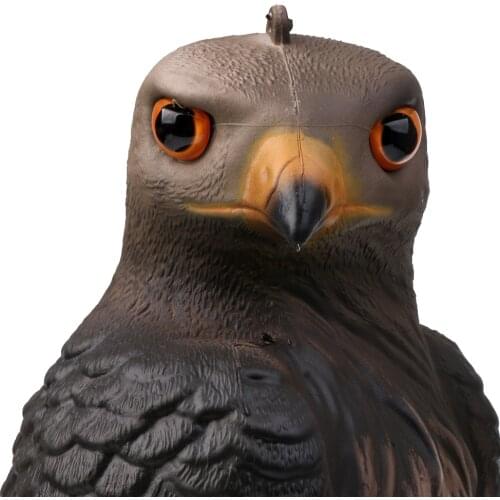 2x Realistic Eagle Hunting Decoy Weed Bird Scarer Garden Decor