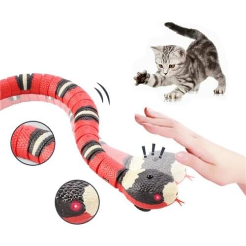 QIANAOSE Products For Cats