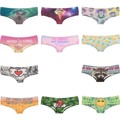 3D Pattern Printing Woman Underwear Brief Cat Ice-cream Lion Dollar Rockets-putin Raccoon Painapple Leaves Lady Panties