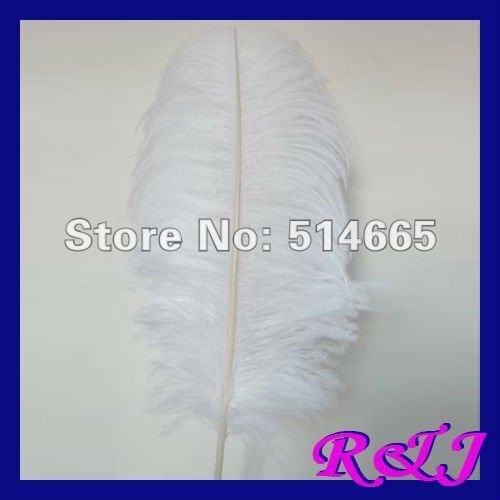 EMS Free shipping Wholesale 50PCS 20-22inch 50-55cm pure White single OSTRICH FEATHER real ostrich drab feathers