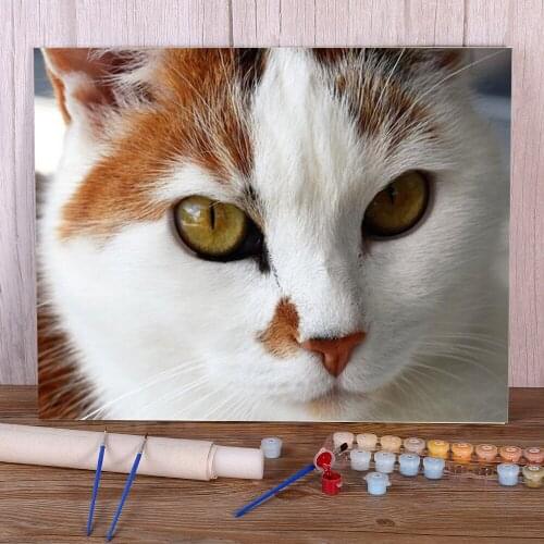 Cat Animal Painting By Numbers Package Oil Paints 40*50 Picture By Numbers Photo Wall Decoration For Handicraft