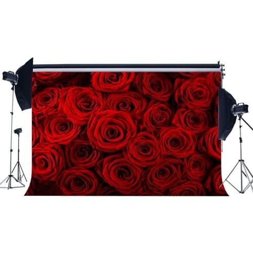 Blooming Fresh Red Rose Flowers Backdrop Valentines Day Romantic Wedding Decoration Wallpaper Photography Background