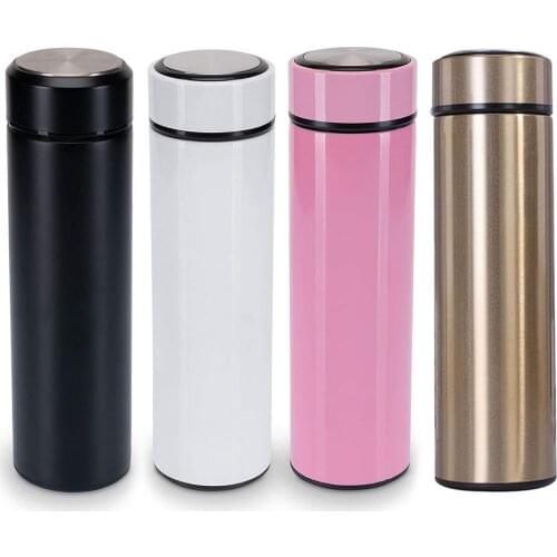 500ML Double Wall Vacuum Insulated Bottle Filter Stainless Steel Thermos Cup Keep Hot and Cold Insulated Sport Cup