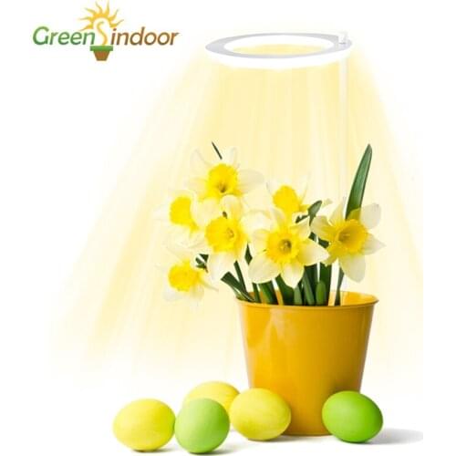 Phyto Lamp For Plants USB LED Grow Light Phytolamp For Orchids Seedlings Flowers 5V Indoor Desk Full Spectrum Growth Lighting