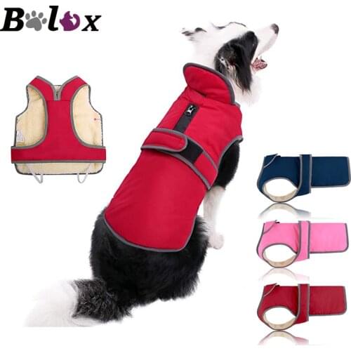 Bolux Goods For Sports And Recreation