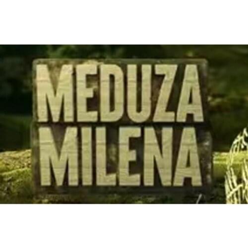 2021 New The Gang Of Sweets Lis Lucek Mascot Soft Toy PIOTRUS Frania KSENIA Meduza Stefek Julka Stuffed Soft Dolls