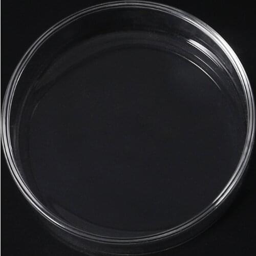 1PC Clear Glass Shrimp Food Round Dishes Small Fish Feeding Bowl Ornamental Supplies Dropshipping
