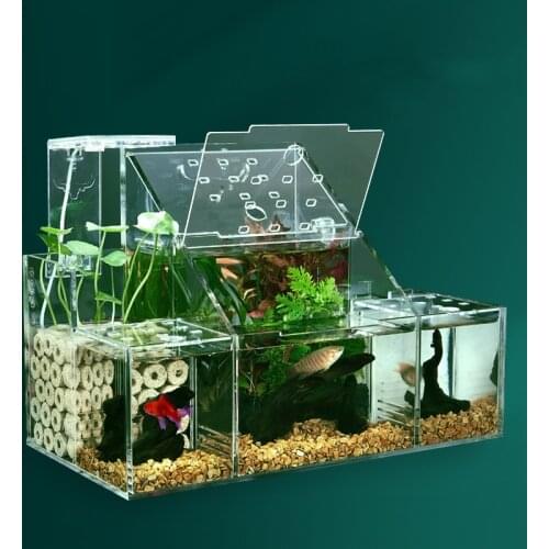 Large Size Ecological Fish Tank Small Fish Isolation Box Circulating Water Filter Fish Tank Creative Desktop Acrylic Aquarium