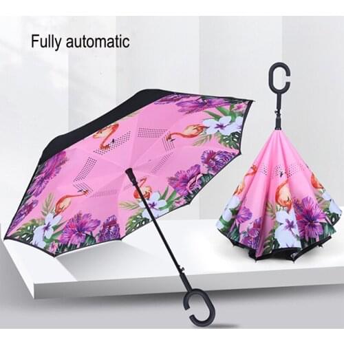 Fully Automatic Double Layer Sunscreen Umbrella without Reverse Umbrella Creative Standing Car Advertising Umbrella