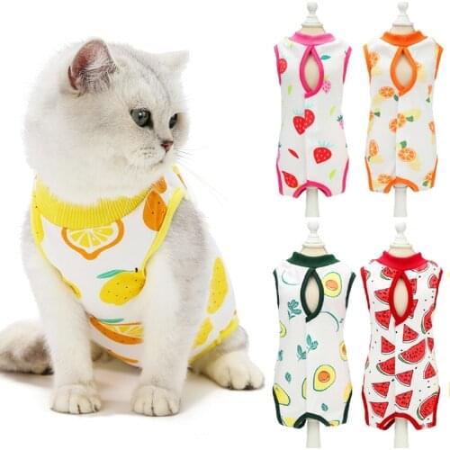 Summer Cat Clothes Postpartum Anti Licking Wound Clothing for Cats Sterilization Vest Cat Clothing Pet Puppy Clothes Supplies