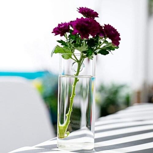 High Borosilicate Glass Hanging Vase Flower Planter Terrarium Container Water Cultivation Home Garden Decoration On The Wall