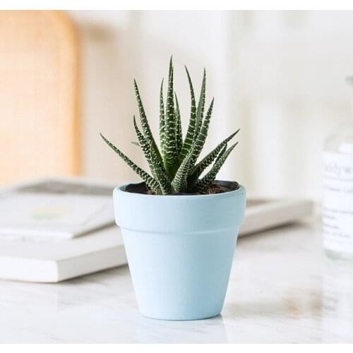 Mini Teeny Colourful Terracotta Pot Clay Ceramic Pottery Planter Cactus Cute Flower Pots Succulent Nursery Pots Flower Pot