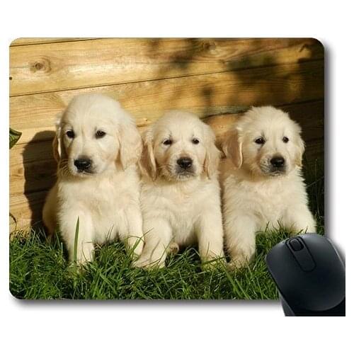 Lovely Pug Dog Gaming Mouse Pad,Puppies Golden Retriever Cute Animal Dog,dogs mouse mat