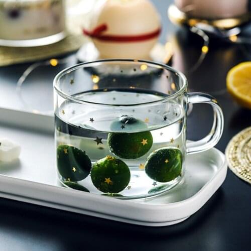 Nordic Whisky Glass Cup Small Transparent Coffee Mug Handle Glassware Drinking Tea Cup Bicchieri Vetro Acqua Steel Glass AC50GC