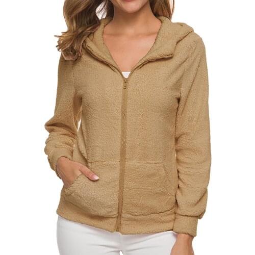 Women Hoodies Sweatshirts Female Cashmere Pocket Zipper Up Jacket Female Long Sleeve Added Velvet Coats Outwear WDC3377