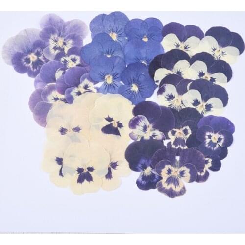 1 Packet ( 12 PCs/Packet) Pansy Dried Flower Resin Jewelry Craft Filling Material for Nail Art Pressed Flowers Home Decor