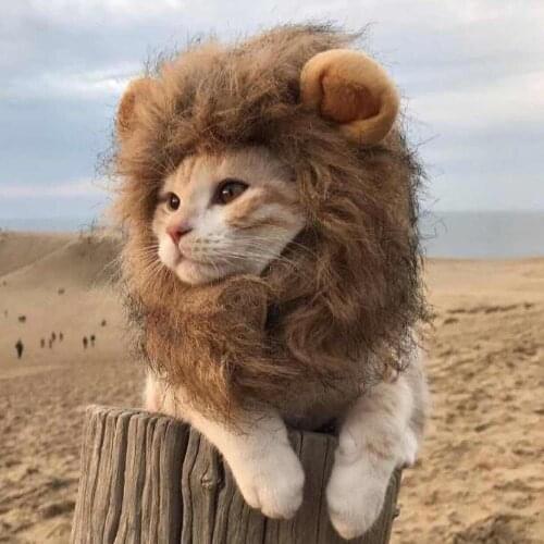 Funny Cute Pet Cat Costume Lion Mane Wig Cap Hat For Cat Dog Halloween Christmas Clothes Fancy Dress With Ears Pet Clothes