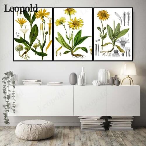 Modern Canvas Poster Realistic Yellow Daisy Medicinal Value Analysis Print Painting Wallpaper Living Room Decoration