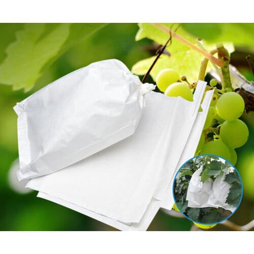 Protection Bag Fruit Bagging Grape Mango Vegetable Craft Fabric Apple Prevent Damage Gardening Tools Breathable White Paper Bags