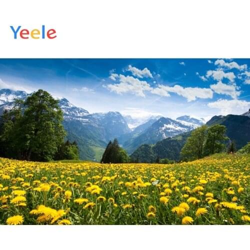 Yeele Natural Scenery Travel Flowers Mountain Children Photography Backdrops Love Wedding Photographic Backgrounds Photo Studio