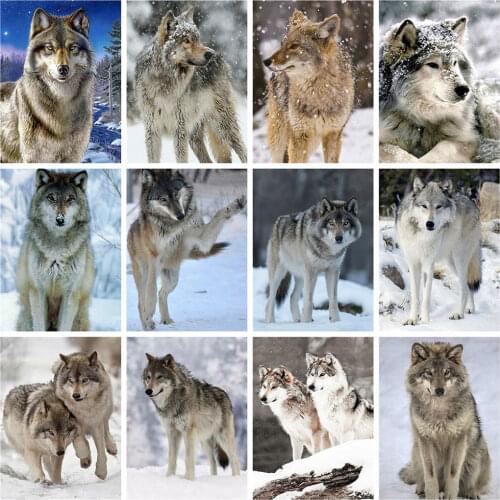 HUACAN 5D DIY Diamond Painting Full Round Square Animal Wolf Diamond Embroidery Cross Stitch Snow Mosaic Handicraft