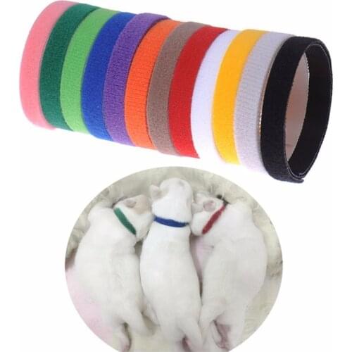 12Pcs Puppy ID Identification Collars Adjustable Nylon Small Pet Dog Kitten Multicolor Necklace Dog Collars Pet Accessories