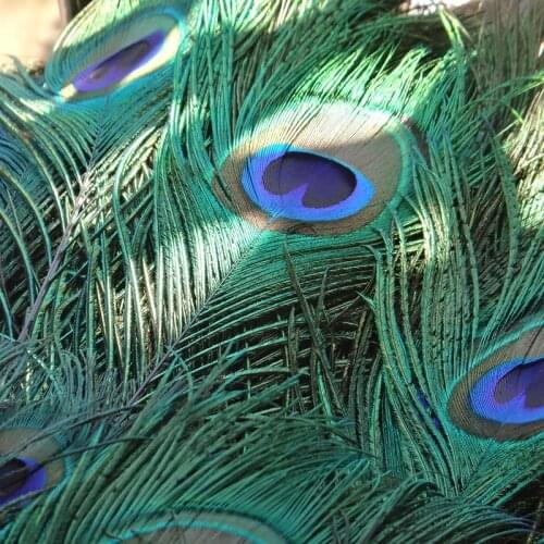 100pcs 25-30 Beautiful Big Blue Eye Natural Peacock Feather Plumes Home Wedding Carnival Decor Diy Jewelry Handicraft Accessory