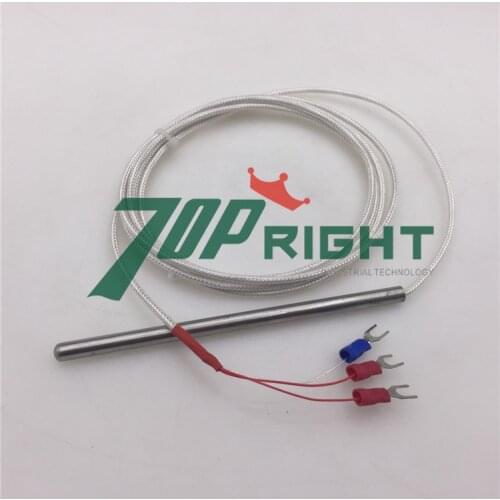 Pt100 temperature sensor dia.6mm, length 120mm long with 2m cable