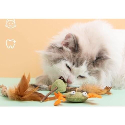 Catnip Cat Toys Cartoons Edible Catnip Ball Safety Healthy Cat Mint Cats Molar Teeth Clean Teeth Game Pet Toy Pet Product Gift