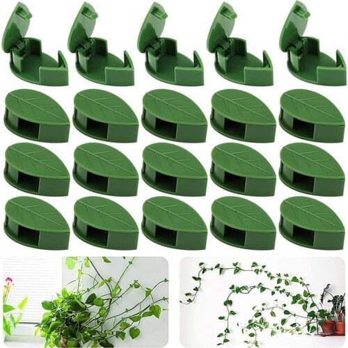 10-40 PCS Plant Climbing Wall Fixture Clips Self-Adhesive Invisible Vines Hook Support Garden Wall Fixer Wire Fixing Snap
