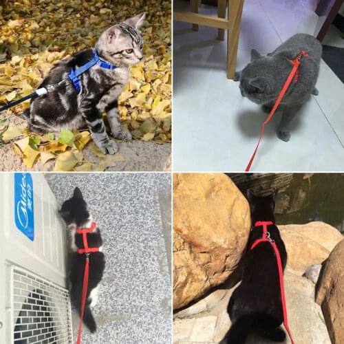 Cat Harness Leash Set Adjustable Cat Harness Breakaway Nylon Strap Collar with Leash Leads for Kitten Puppy Cat Lead