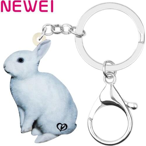 Newei Acrylic Easter Hare Bunny Rabbit Keychains Key Chain Big Cute Animal Jewelry For Women Men Kids Gifts Car Bag Decoration
