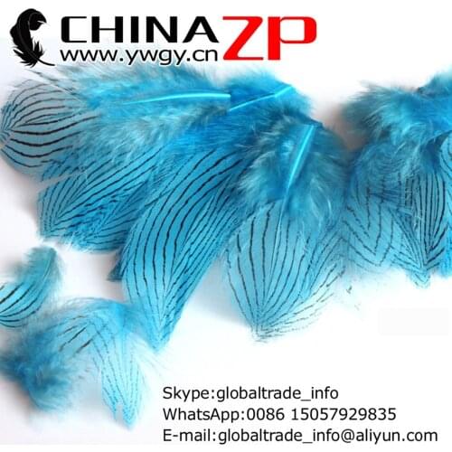 Made in CHINAZP Factory 2000pcs/lot 8~10cm Length Top Quality Dyed Lake Blue Silver Pheasant Body Plumage Feathers
