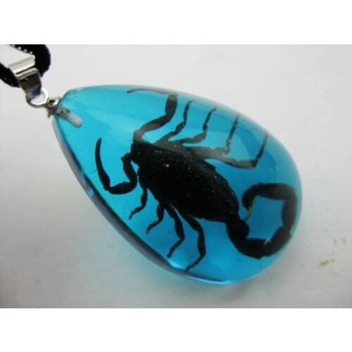 FREE SHIPPING 12 PCS punk surfer Real Insect Black Scorpion In Blue Resin Pendant Entomology Scorpion
