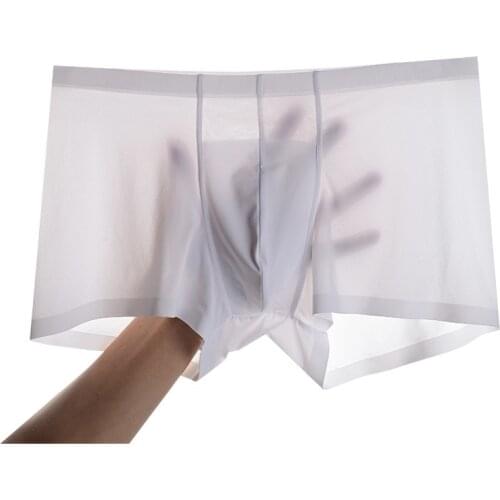 Men Boxers Underwear Comfortable Seamless Man Boxershorts Slip Panties Men Soft Nylon Ice Silk Underpants Calzoncillo Hombre