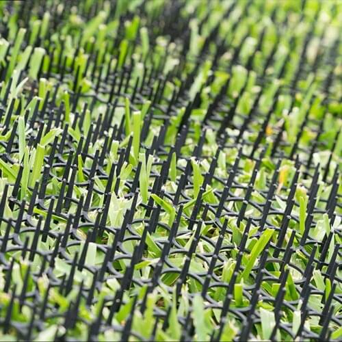 13cmx49cm Garden Prickle Strip Dig 10pcs Stop Cat Repellent Deterrent Mat Spike Portable Anti-Cat Dog Outdoor Garden Supplies