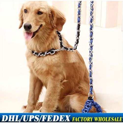 20Pcs/Lot Large Dog Nickel-plated Chain Anti-rust Series Flower Collar Leash L 5.0*160cm Dog Collars Leads