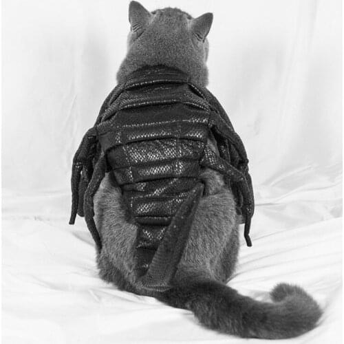 Halloween Pet Dog Clothes Funny Puppy Cosplay Costume Scorpion Design Party Halloween Costume For Pug French Bulldog Outfits