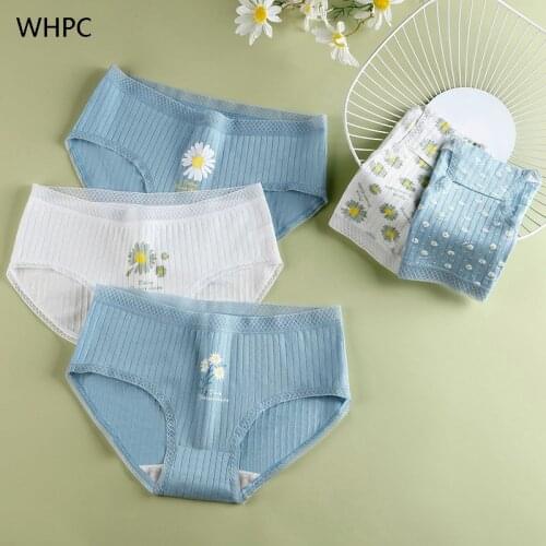 WHPC Women Cotton Briefs Daisy Print Girls Panties Underpants For Woman Soft Female Underwear