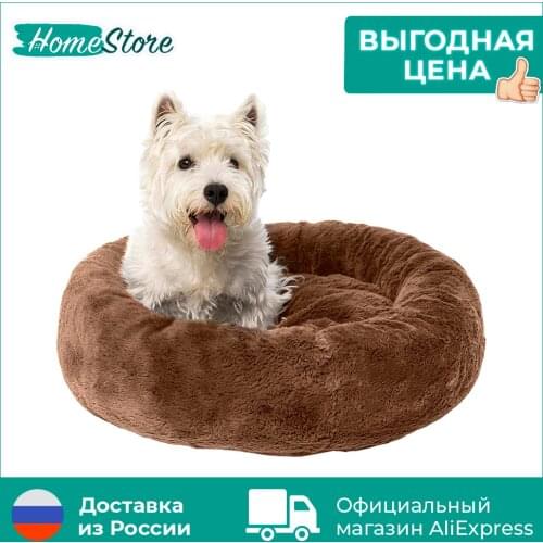 HomeStore Dog Beds
