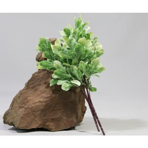 Greening Layout Green Plants Grass Grass Hanging Frost Common Cabbage Leaf Simulation Plant Home Restaurant Flower Arrangement